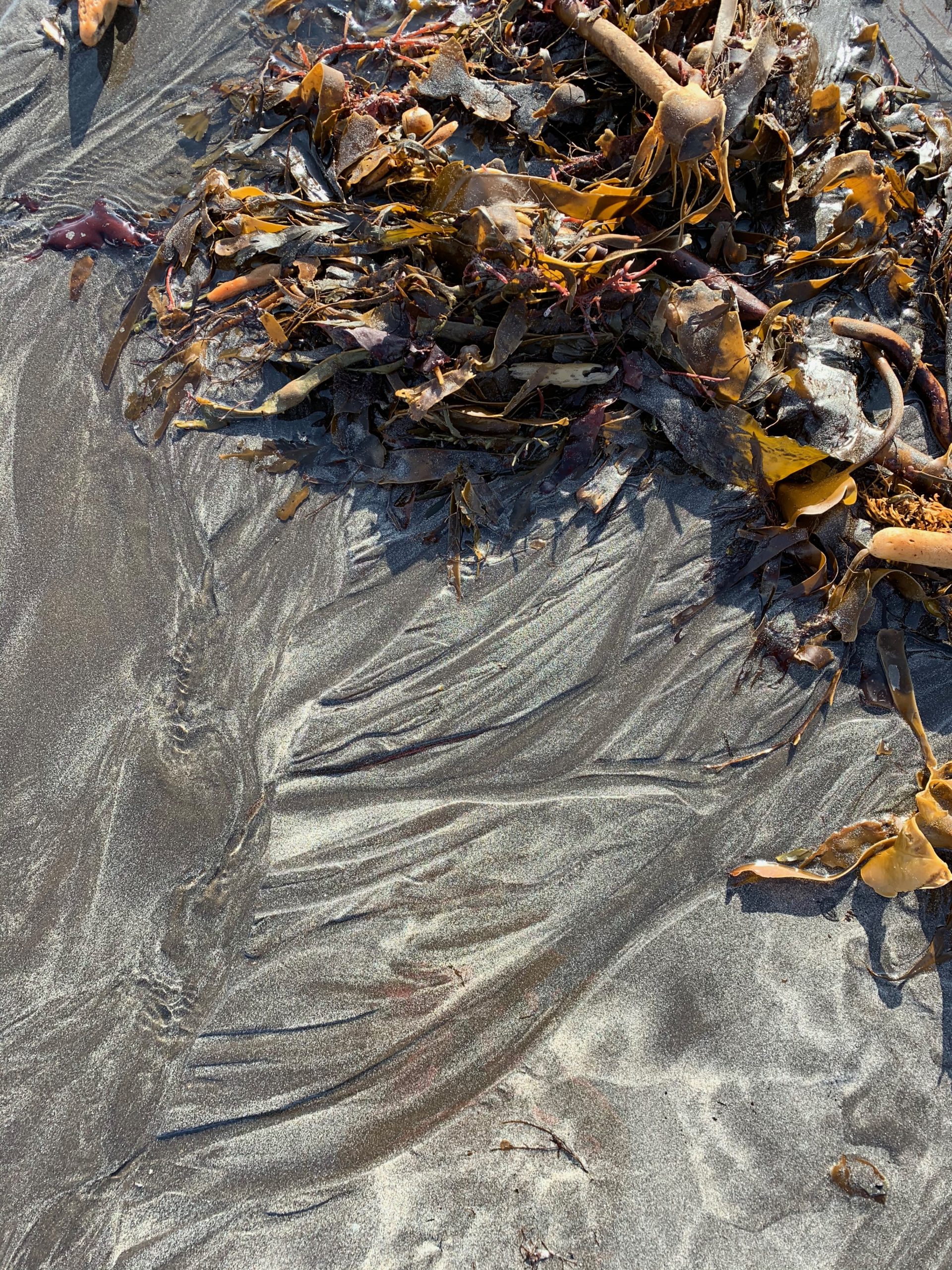 Sand on the beach